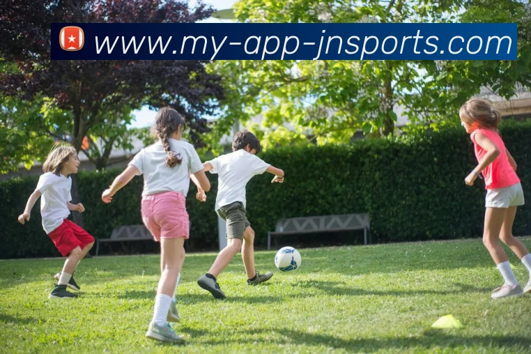 江南体育APPAPP 封面图